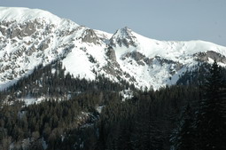 DSC_4257.JPG