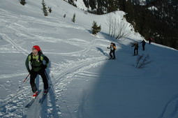 DSC_4260.JPG