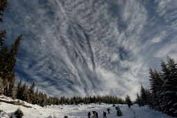 DSC_7779.jpg