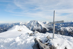 DSC_7792.jpg