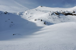 DSC_7802.jpg