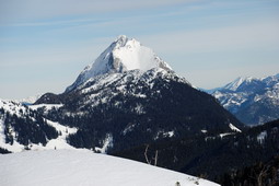DSC_7810.jpg