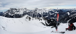 DSC_7817a.jpg