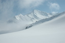 DSC_5620.JPG