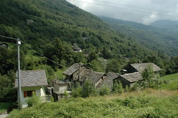 DSC_6220.JPG