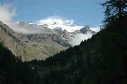 DSC_6229.JPG