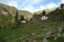 DSC_6232.JPG