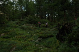 DSC_6235.JPG