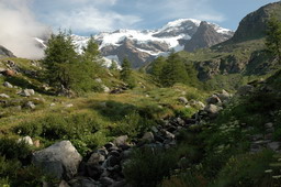 DSC_6239.JPG