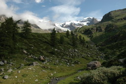 DSC_6241.JPG