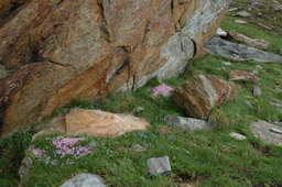 DSC_6244.JPG