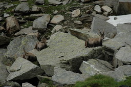 DSC_6255.JPG