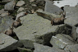 DSC_6257.JPG