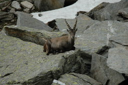DSC_6259.JPG