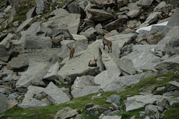 DSC_6261.JPG