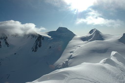 DSC_6294.JPG