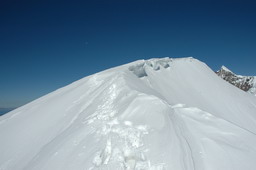 DSC_6314.JPG