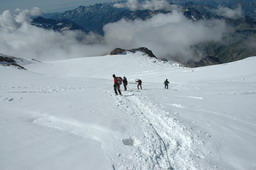 DSC_6319.JPG