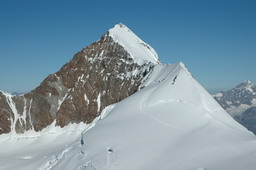 DSC_6337.JPG