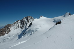 DSC_6352.JPG