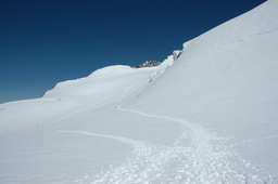 DSC_6360.JPG