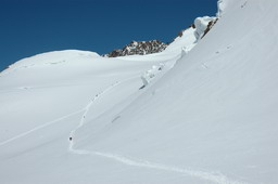 DSC_6361.JPG