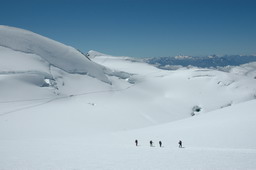 DSC_6370.JPG