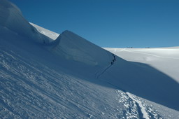DSC_6422.JPG