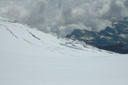 DSC_6433.JPG