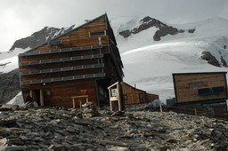 DSC_6444.JPG