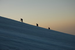 DSC_6451.JPG
