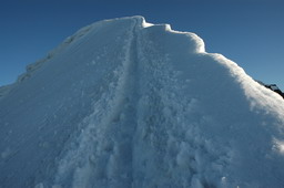 DSC_6454.JPG