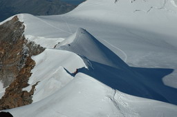 DSC_6460.JPG