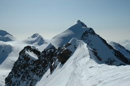 DSC_6462.JPG