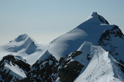 DSC_6463.JPG