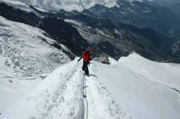 DSC_6476.JPG