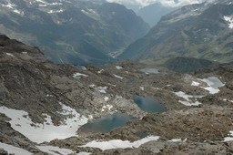 DSC_6498.JPG
