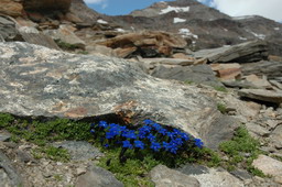 DSC_6502.JPG