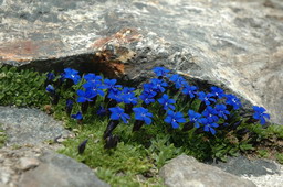 DSC_6503.JPG
