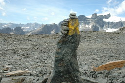 DSC_6505.JPG