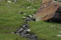 DSC_6508.JPG