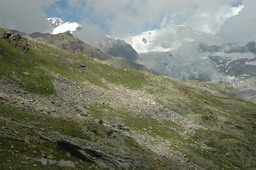 DSC_6511.JPG