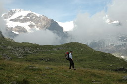 DSC_6512.JPG