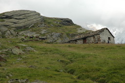 DSC_6521.JPG