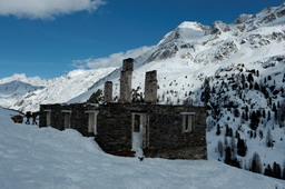 DSC_8096proc_raw.jpg