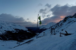 DSC_8101proc_raw.jpg