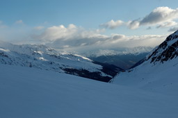 DSC_8107proc_raw.jpg
