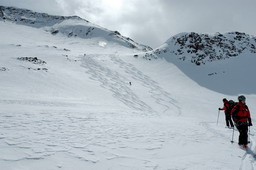 DSC_8143proc_raw.jpg