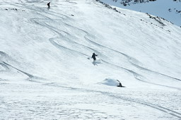 DSC_8152proc_raw.jpg