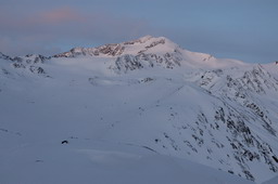 DSC_8163proc_raw.jpg